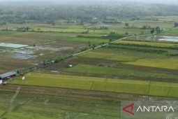 Maluku distribusikan 196 unit irigasi perpompaan untuk pengairan lahan