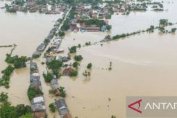 Ribuan hektare sawah di sejumlah kawasan Karawang terendam banjir