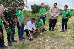 Jarnas Pemuda Hijau tanam 1.500 pohon kelor di Cibanten