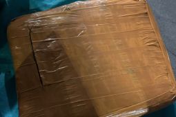 Polisi tangkap empat terduga pengedar 1 kilogram ganja di Jakarta Utara