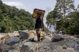 Petani manggis Tanah Datar Sumbar mulai bangkit usai terdampak bencana