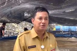 Bangka Tengah kembangkan udang vaname ramah lingkungan