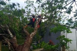 BPBD Kuningan mengimbau warga waspada potensi bencana dampak cuaca ekstrem