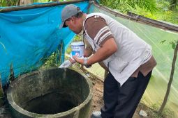 Aceh kendalikan vektor nyamuk lindungi pengungsi dari DBD