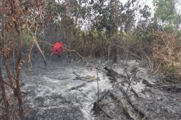 BPBD Belitung tingkatkan kesiapsiagaan hadapi ancaman karhutla