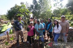 Edi Mangun, 25 tahun tanam mangrove untuk sedekah dan syukur