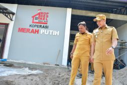 Wabup Adlin tinjau koperasi merah putih Desa Mangga Dua