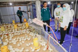 Khofifah dorong sekolah jadi laboratorium ketahanan pangan