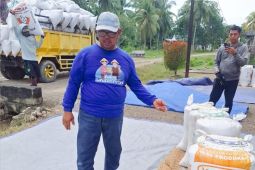 Perum Bulog Maluku nyatakan penyerapan gabah beras capai 621.090 ton per Januari