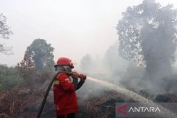 Luas kebakaran lahan di Aceh Barat mencapai 19 Ha