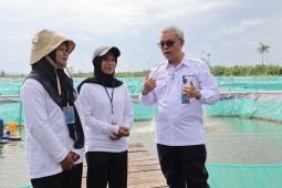 Magang Nasional solusi lulusan baru menembus dunia kerja