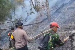 Tiga hektare kebun kopi milik warga Kerinci terbakar