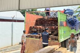 Kemenhut gagalkan pengangkutan 544 batang kayu kumea tanpa dokumen sah di Sulsel