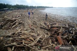 Istana respons dugaan penebangan hutan picu banjir di Guci Tegal