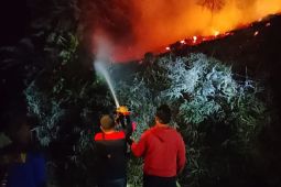 Pemkab Gunung Mas Kalteng waspadai ancaman kebakaran hutan dan lahan