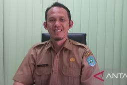 Harga tandan buah segar kelapa sawit petani mandiri di Bangka stabil