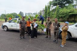 Pemkot Tangerang sebar 20 ribu bibit kelapa genjah ke masyarakat