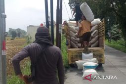 Bulog Cianjur menargetkan serapan gabah tahun ini sekitar 33 ribu ton