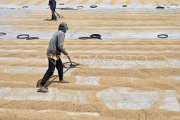 Saat berlimpah, ketahanan diuji