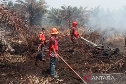 BPBD Nagan Raya kerahkan tim padamkan kebakaran lahan di sekitar PLTU
