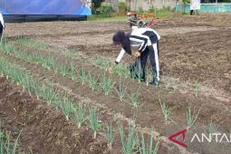 Menjaga ketahanan pangan mulai dari bangku sekolah