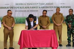 Kabupaten Bengkayang dorong penguatan lembaga petani kelapa sawit