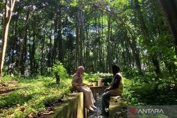 Dispar Rejang Lebong optimalkan pemanfaatan potensi hutan kota sebagai destinasi wisata favorit