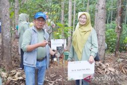ULM tanam 749 bibit pohon lokal endemik Kalimantan Selatan di IKN