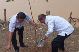 Pemkot Jambi tanam pohon penghijauan di bantaran sungai Batanghari