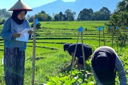 UNIB buka S1 Penyuluhan Pertanian siapkan SDM pertanian wilayah pesisir