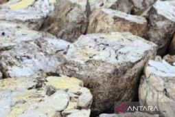 Gapkindo catat ekspor karet Sumut sepanjang 2025 capai 249.379 ton