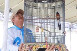 Bupati buka Kicau Mania UAS Cup Berkah Madani 2026