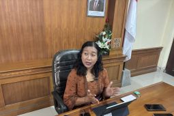 Bali anticipates Nipah virus spread through pigs control