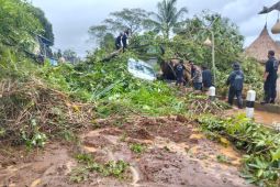 BPBD Gianyar maksimalkan pembersihan longsoran di jalur wisata Ceking-Kintamani