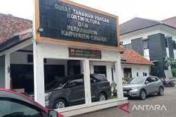 Dinas TPHPKP Cianjur: Alokasi pupuk subsidi sebanyak 78 ribu ton
