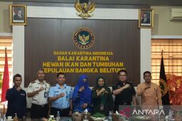 BKHIT Bangka Belitung perketat pengawasan cegah Virus Nipah India