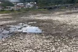 WALHI nilai penurunan air danau Kerinci berdampak terhadap ekosistem