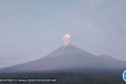 Gunung Semeru 3 kali erupsi dengan tinggi letusan mencapai 1 km