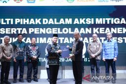 Kalbar dapat insentif Rp1 triliun dari Green Climate Fund