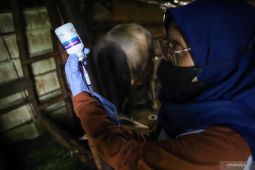 Pemkab Lamongan intensifkan penanganan PMK hewan ternak