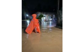 BPBD: Hujan picu banjir pada sejumlah wilayah di Tulungagung