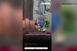 Warga resah biawak masuk permukiman, Damkar siap bertindak