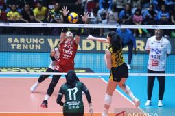 Gresik Phonska sapu bersih dua laga kandang setelah kalahkan Falcons