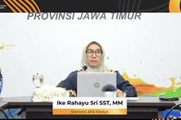 BPS: 25.019 wisman berkunjung ke Jatim pada Desember 2025