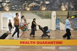 7 temuan WHO tentang virus nipah lewat publikasi DONs