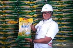 Ketersediaan beras Bulog di Kalimantan Barat