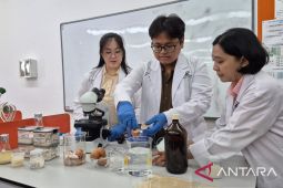 Tim Peneliti Universitas Ciputra olah cangkang telur jadi kolagen halal
