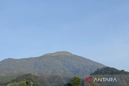 BTNGC sebut pemulihan ekosistem di Gunung Ciremai terus berkelanjutan