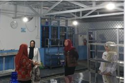 Dinkes Kota Jambi terbitkan sertifikat SLHS bagi 39 SPPG Program MBG