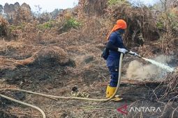 BPBD: 41,4 hektare karhutla di Aceh Barat berhasil ditangani tim gabungan